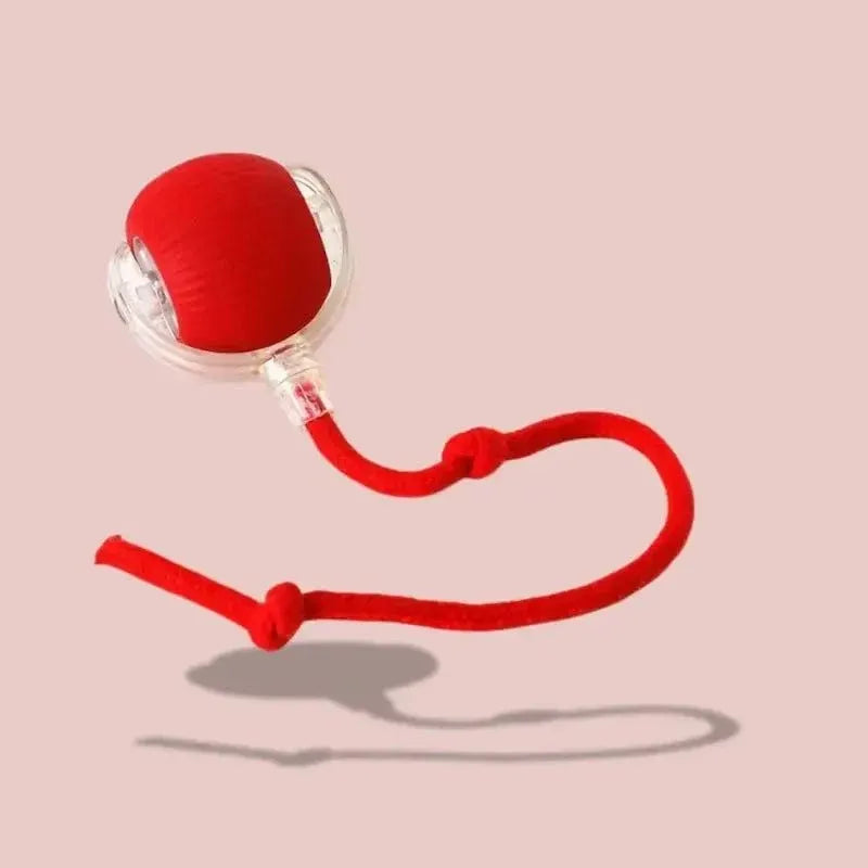 Balle lumineuse interactif pour Chat