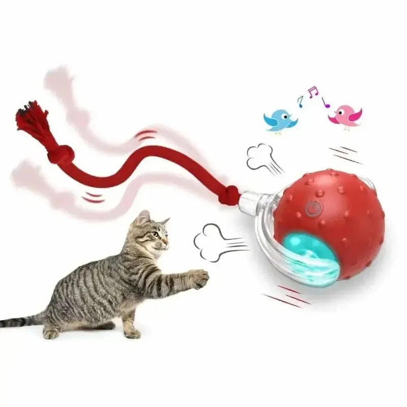 Balle lumineuse interactif pour Chat