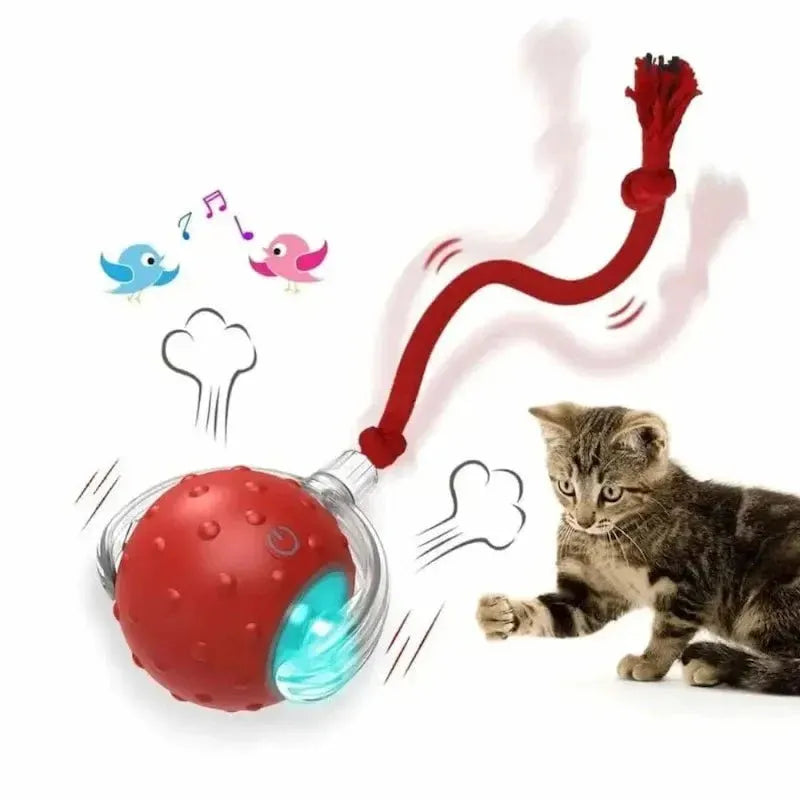 Balle lumineuse interactif pour Chat