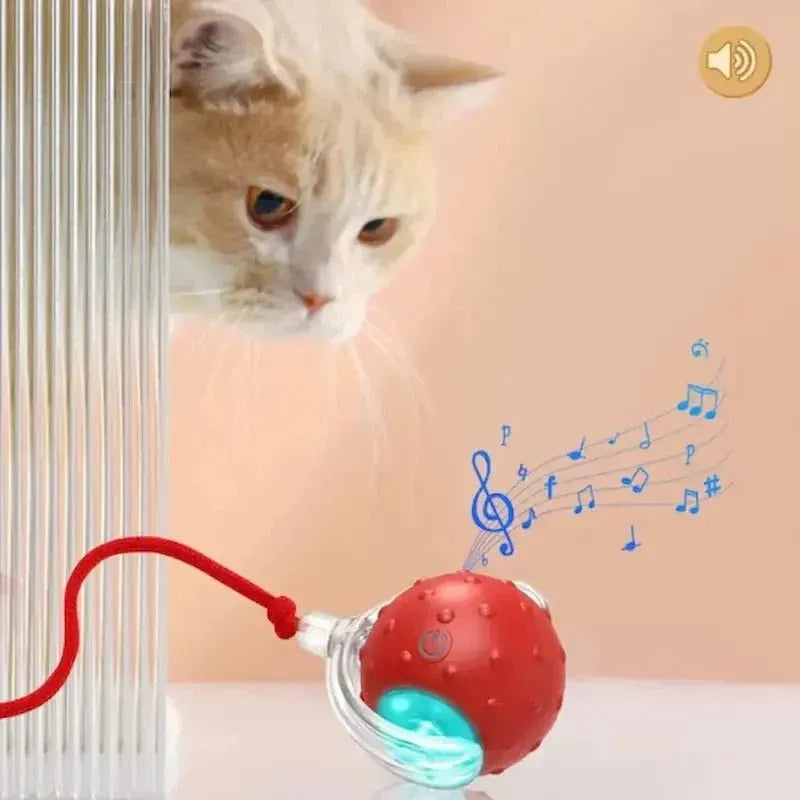Balle lumineuse interactif pour Chat