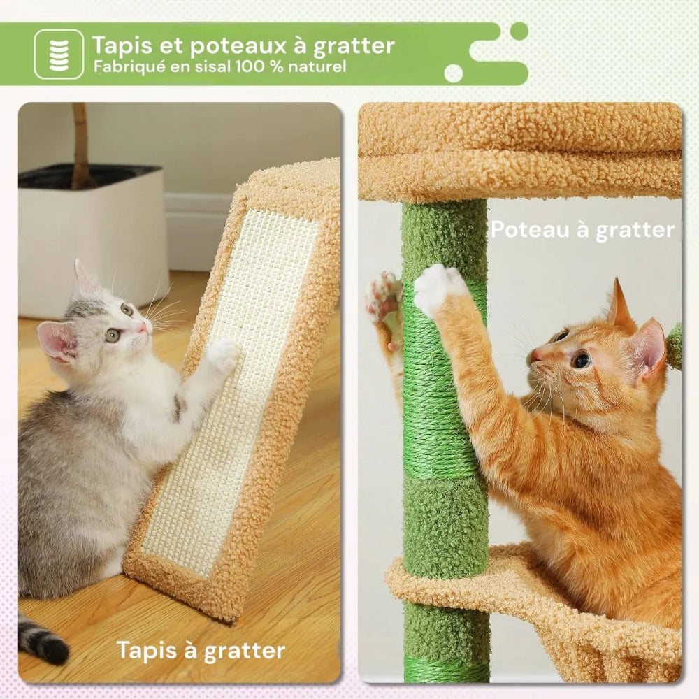 Petit arbre à chat griffoir 