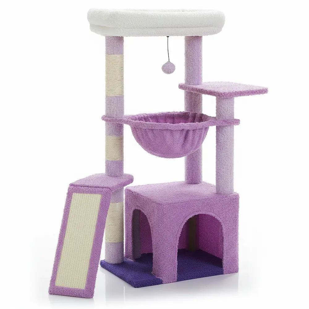 Petit arbre à chat violet